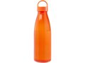 Bergen 800 ml waterfles ECO 12