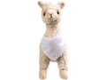 Alpaca Cuzco 3