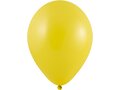 Ballonnen Ø27 cm - met full colour bedrukking 20
