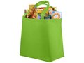 Milieuvriendelijke Shopper Maryville 50x33x20cm 15