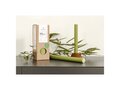 Original Home dinerkaars matcha 1