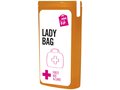 MiniKit Lady’s Bag 3