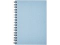 Desk-Mate® A6 kleuren spiraal notitieboek 11