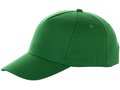 Brunswick cap 11