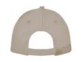 Doyle 5 panel cap 34