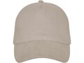 Doyle 5 panel cap 33
