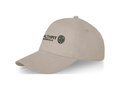 Doyle 5 panel cap 32
