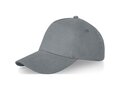 Doyle 5 panel cap 35