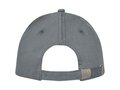 Doyle 5 panel cap 38