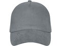 Doyle 5 panel cap 37