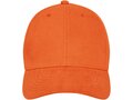 Davis 6 panel cap 23