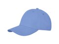 Davis 6 panel cap 29