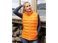 Bodywarmer Ice 7