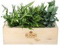 Bloomsbox met luchtzuiverende varens