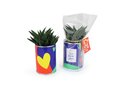 Busselpotje met plant