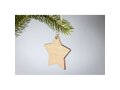 Kerst ornament ster 2