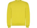 Roly Clasica kindertrui met ronde hals 26