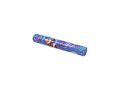 Gepersonaliseerde Mentos fruitsmaak Roll 2