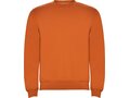 Roly Clasica kindertrui met ronde hals 15