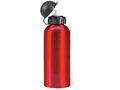 Bidon van aluminium - 600 ml 5