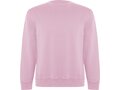 Roly Batian unisex sweater met ronde hals 21