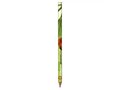 Potlood Full Colour zonder gom 5