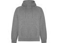 Roly Vinson unisex hoodie