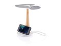 Ginkgo solar boom 3