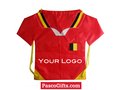 Fan Tricot Rugzakje 1