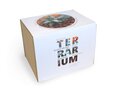 Mini-Terrarium Diy Kit 4
