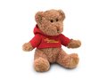 Teddybeer met sweatshirt 2