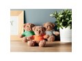 Teddybeer met sweatshirt 11