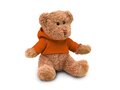 Teddybeer met sweatshirt 13