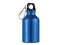 Aluminium fles Mini - 300 ml 6