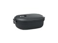 Luchtdichte lunchbox 20 x 14 x 6,5 cm 12