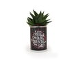 Busselpotje met plant 3