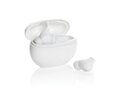 Prolink RCS hybride ANC/ENC-oordopjes van gerecycled plastic 12