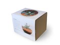 Mini-Terrarium Diy Kit 5