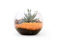 Mini-Terrarium Diy Kit 6