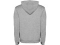 Roly Urban hoodie voor heren 19