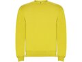 Roly Clasica unisex trui met ronde hals 1