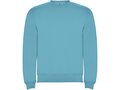 Roly Clasica unisex trui met ronde hals 150