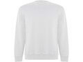 Roly Batian unisex sweater met ronde hals 3