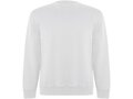 Roly Batian unisex sweater met ronde hals 3