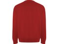 Roly Batian unisex sweater met ronde hals 14