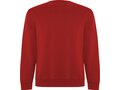 Roly Batian unisex sweater met ronde hals 22