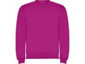 Roly Clasica kindertrui met ronde hals 38
