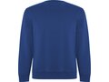 Roly Batian unisex sweater met ronde hals 23