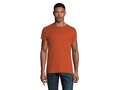 Heren T-shirt +10 kleuren vanaf 10 stuks 69