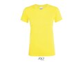 Dames T-shirt +20 kleuren vanaf 10 stuks 190